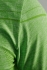 Craft Active Comfort roundneck short sleeve ondershirt groen/shout heren  1903792-1620