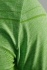 Craft Active Comfort roundneck short sleeve ondershirt groen/shout heren  1903792-1620