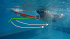 Zwemanalyse in Endless Pool bij Tri2one Coaching  T2oC-Analyse