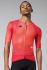 Gobik Carrera 2.0 fietsshirt korte mouw cherry unisex  10-01-056-011