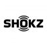 Shokz OpenRun Pro hoofdtelefoon beige  S810BG